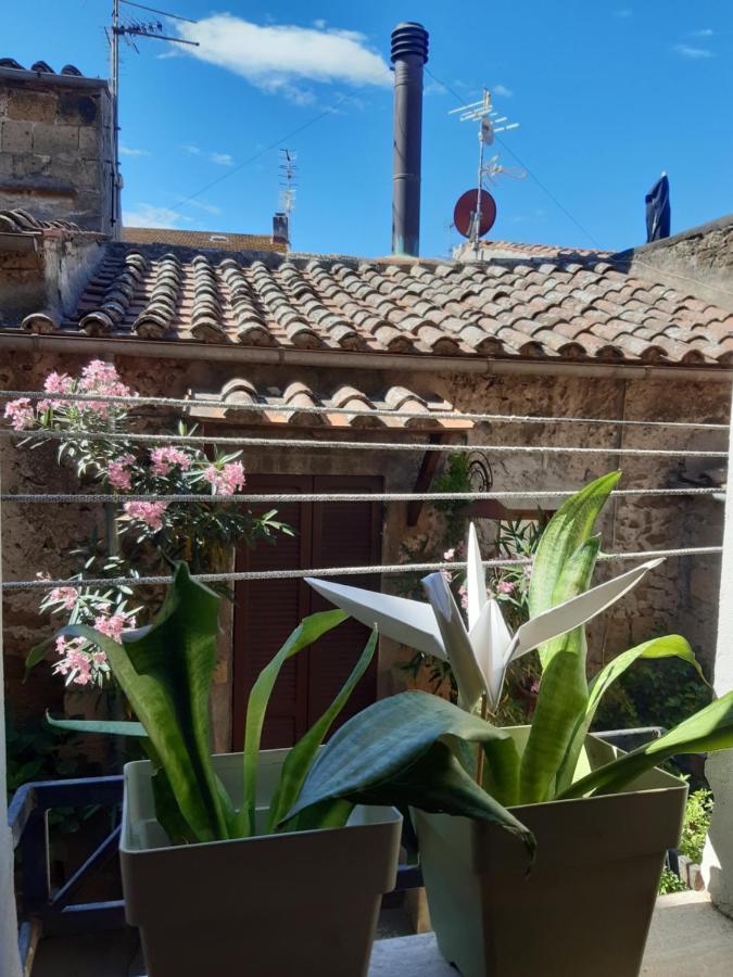 Casa Il Girasole Pitigliano Daire Dış mekan fotoğraf