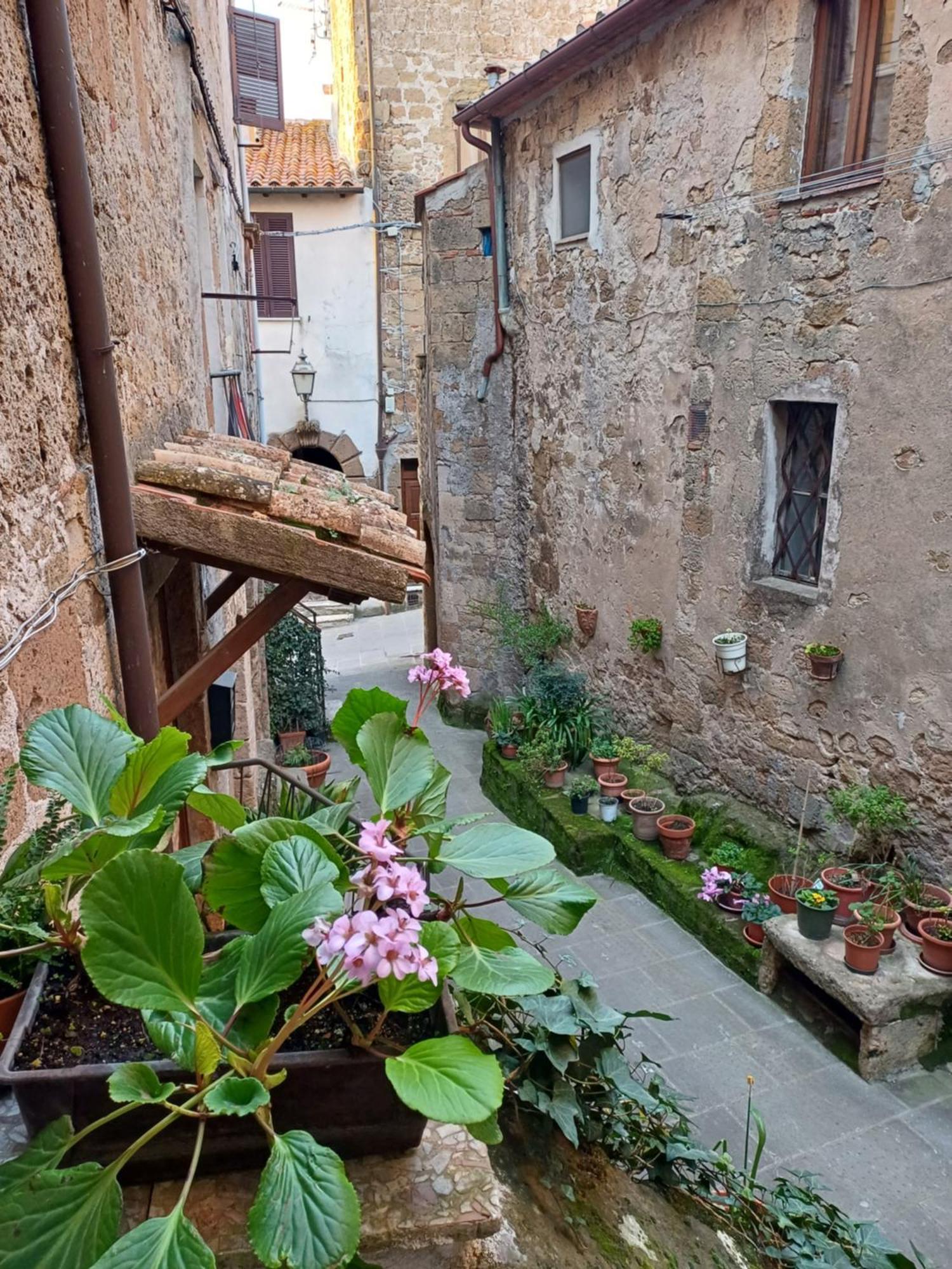 Casa Il Girasole Pitigliano Daire Dış mekan fotoğraf