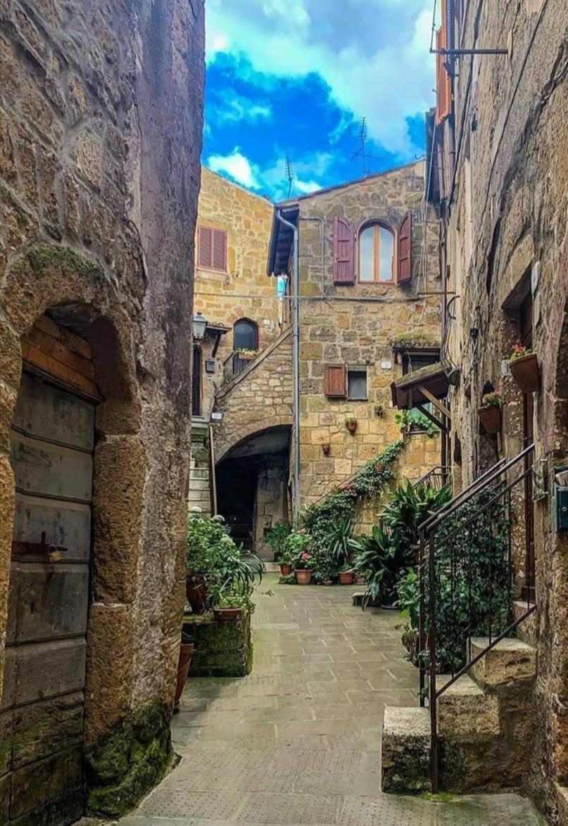 Casa Il Girasole Pitigliano Daire Dış mekan fotoğraf